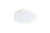 12d80c6e91be35a2014298c4741fcb45.webp