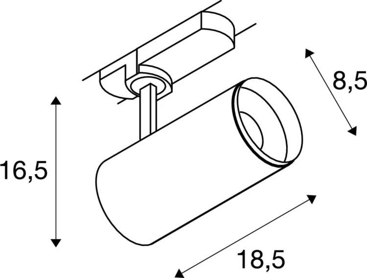 slv_1004475_msz.jpg