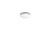 66683f995c1464e17ced27189b55848b.webp
