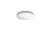 b32ab9a39a632c9f38d5569c294c7245.webp