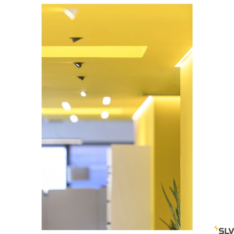 slv_1005891_a1_h_rgb.jpg