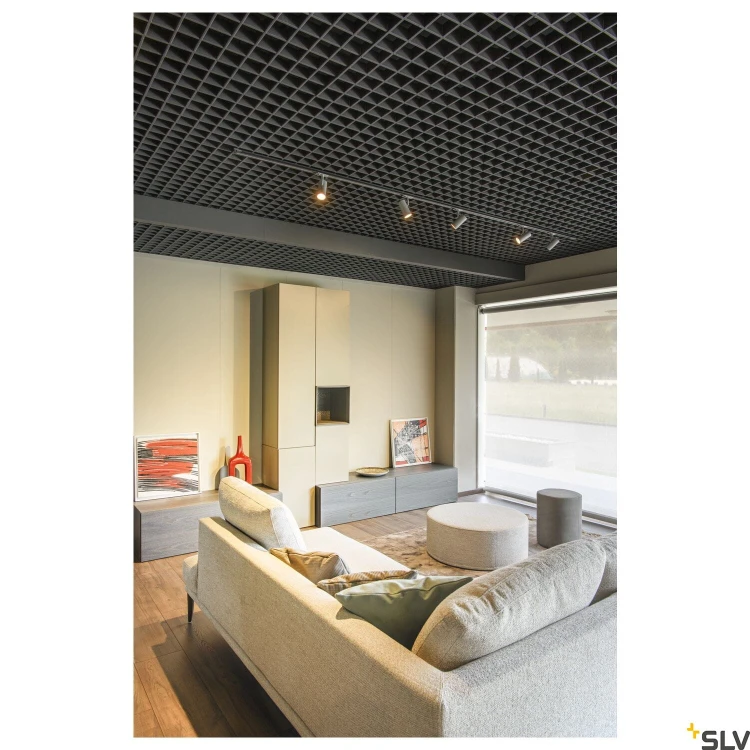 slv_1007354_a1_h_rgb.jpg