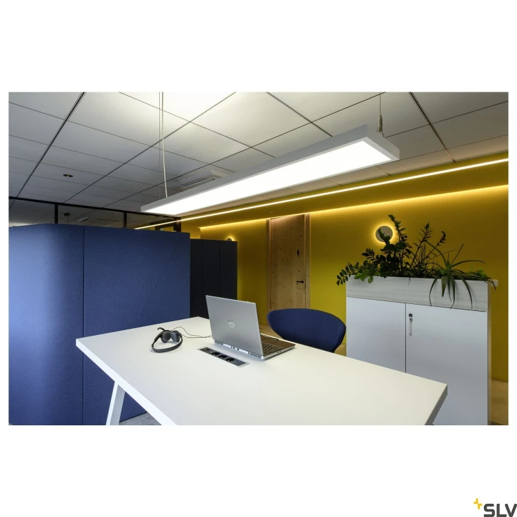 slv_1007472_a1_h_rgb.jpg