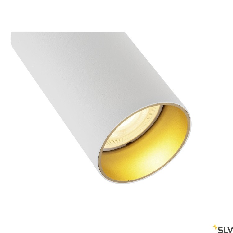 slv_1007716_d1_rgb.jpg