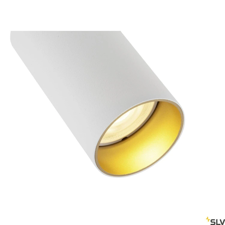slv_1007740_d1_rgb.jpg