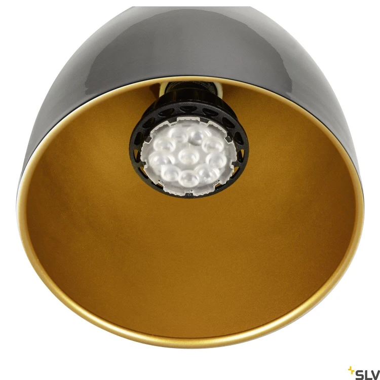 slv_1008052_d1_rgb.jpg