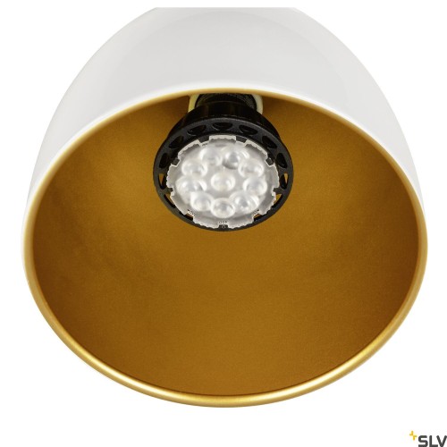 slv_1008053_d1_rgb.jpg