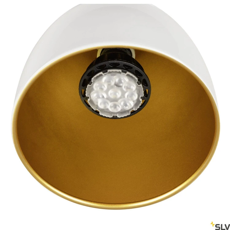 slv_1008053_d1_rgb.jpg