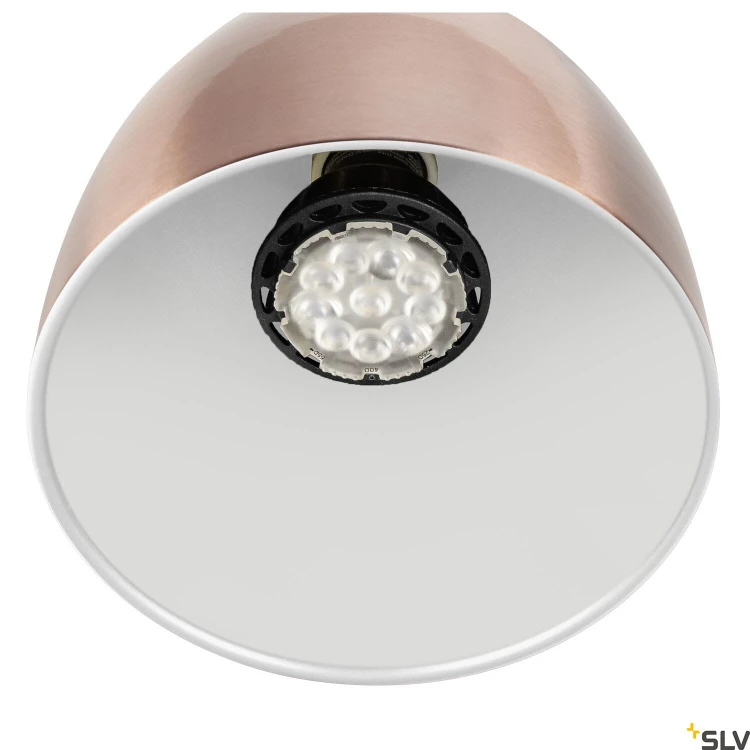 slv_1008054_d1_rgb.jpg