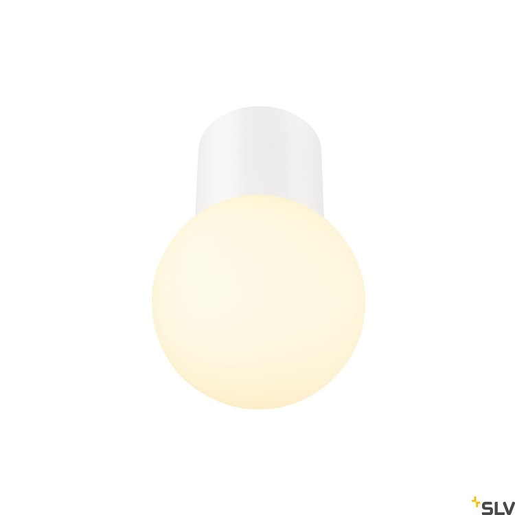 slv_1008100_1008119_1_rgb.jpg