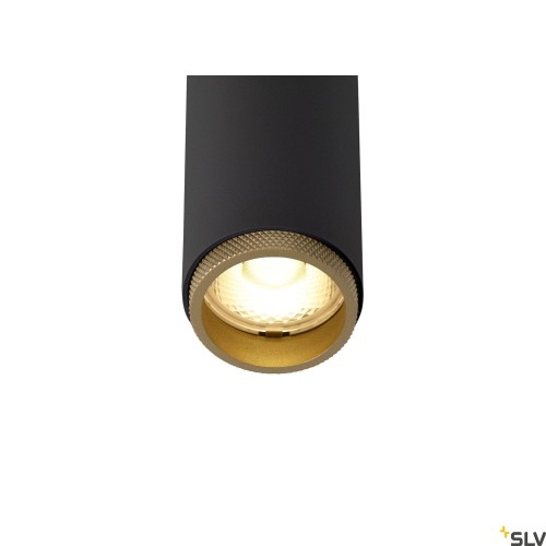 slv_1008402_d1_rgb.jpg