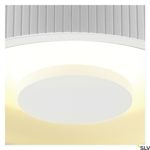 slv_117321_d1_rgb.jpg