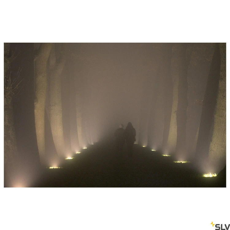 slv_229230_a1_h_rgb.jpg