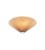 481d2c8f823744e46730407041bd0216.webp