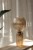 108851_toulipa_100.jpg