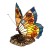 qz-obutterfly-tl.jpg