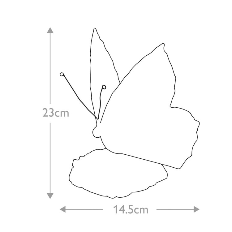 qz-obutterfly-tl_SIZE.jpg
