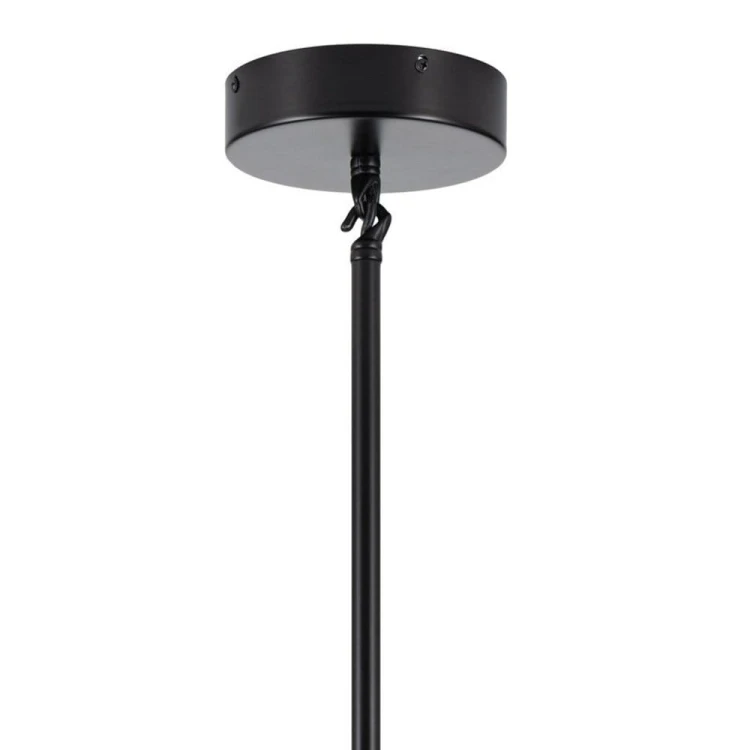pol_po_Lampa-wiszaca-MODERN-ORCHID-6-transparentno-czarna-130-cm-406_8.jpg
