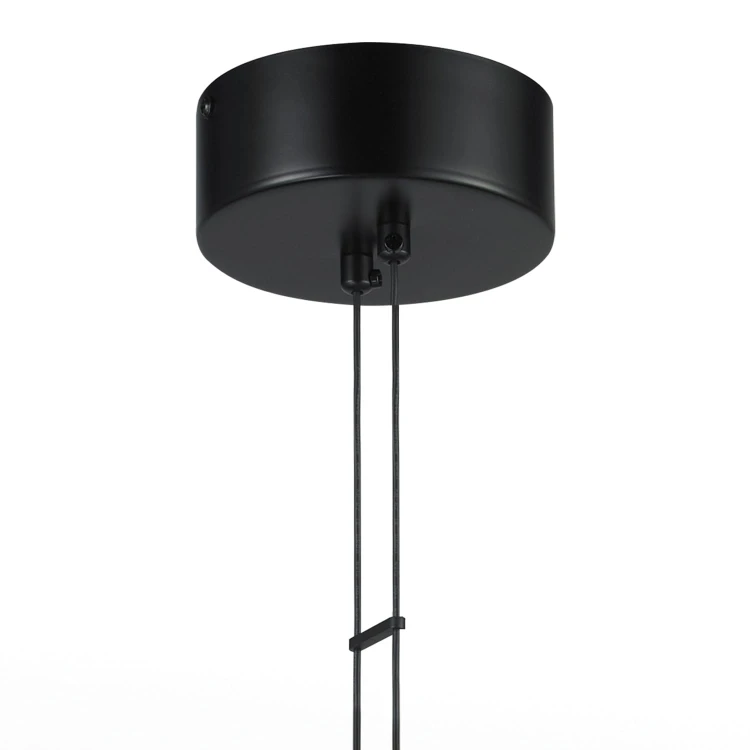 pol_po_Lampa-wiszaca-COCO-1-LED-czarna-40-cm-659_2.jpg