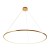 pol_po_Lampa-wiszaca-CIRCLE-SLIM-120-LED-zloty-120-cm-932_2.jpg