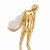 pol_po_Lampa-podlogowa-WOMAN-GOLD-zloty-polysk-180-cm-1108_8.jpg
