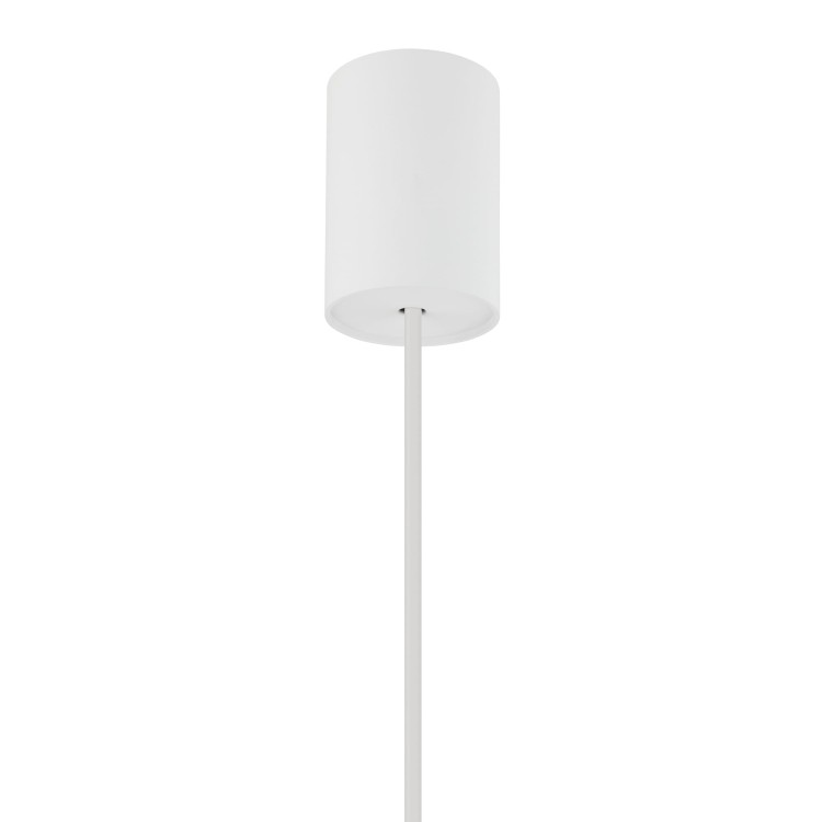 8950-1.jpg