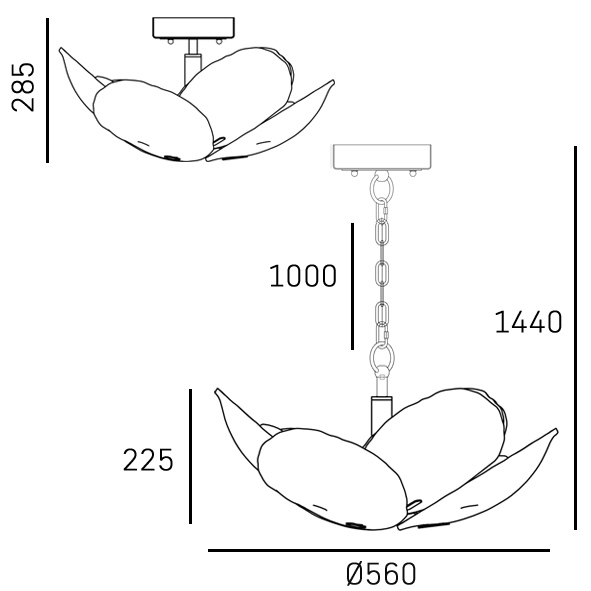 16780fe52e5b72.jpg