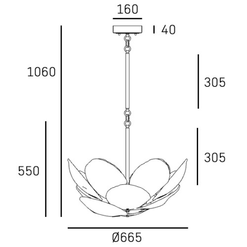 16780fe5ab84df.jpg
