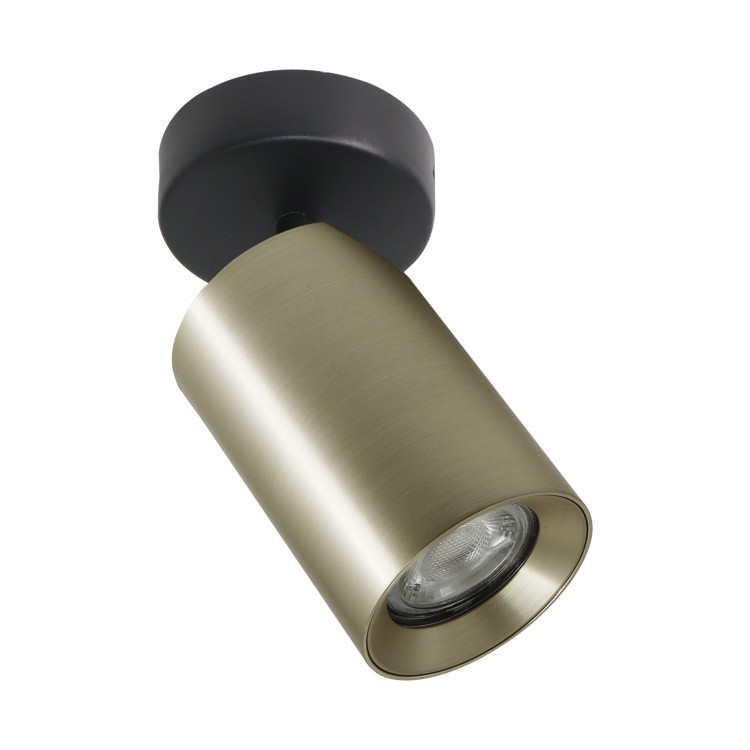 TLS006-GLD_1.jpg