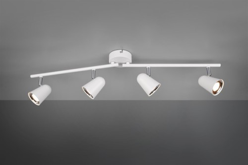 R82124131.jpg