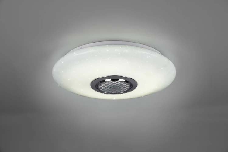 R69031101_2.jpg