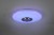 R69031101_5.jpg