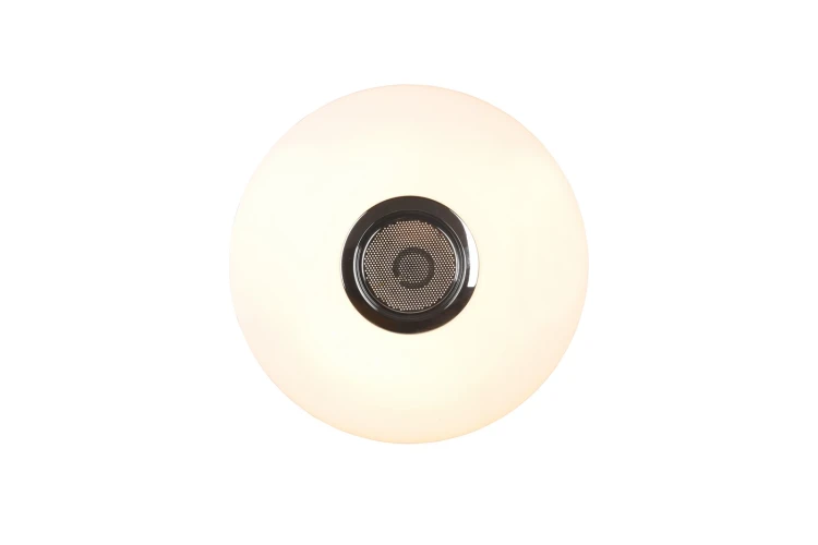 R69031101_8.jpg