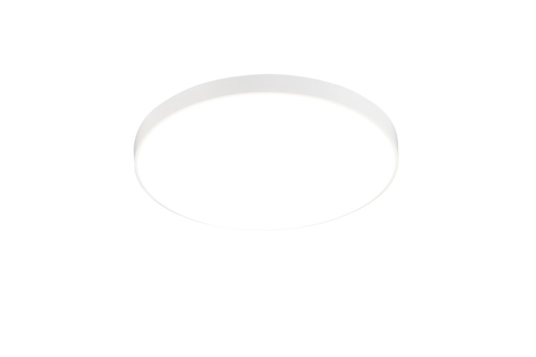 r67851101.jpg
