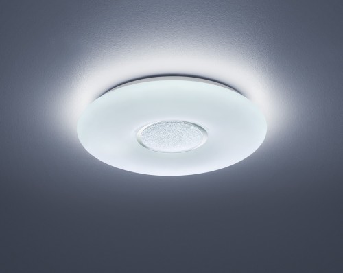 R67541101_2.jpg