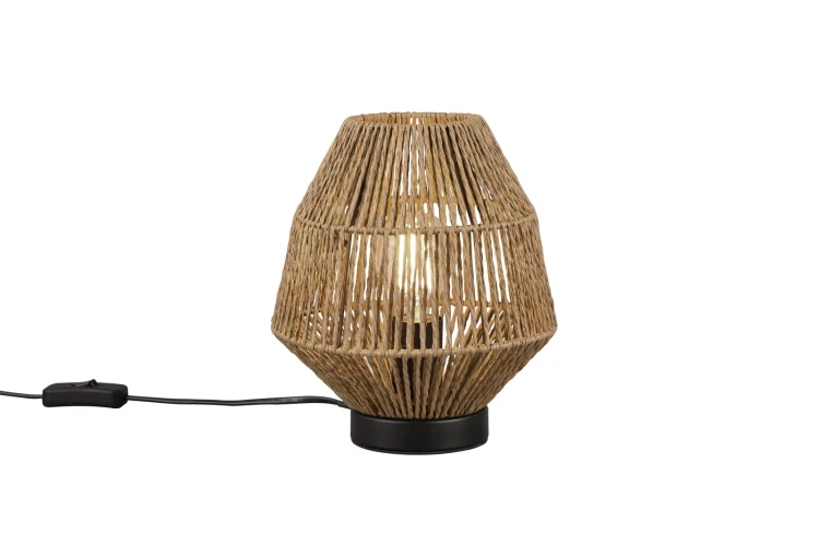 r51101026.jpg