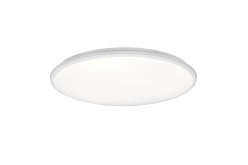 r67021931.jpg