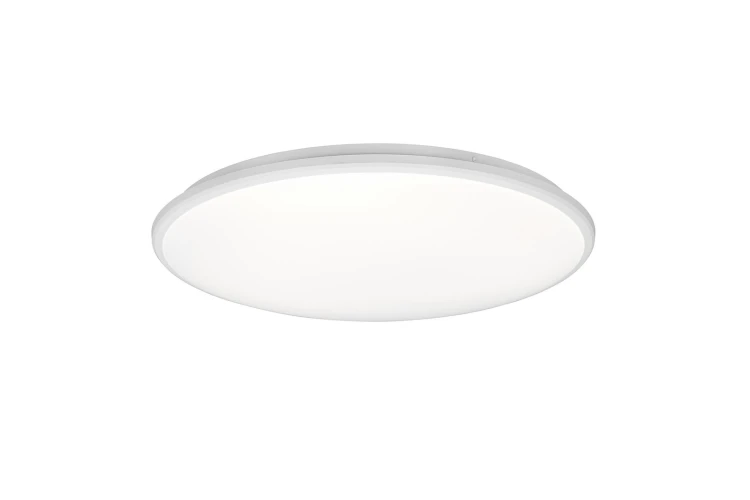 r67021931.jpg