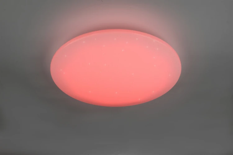 R65006000_1.jpg