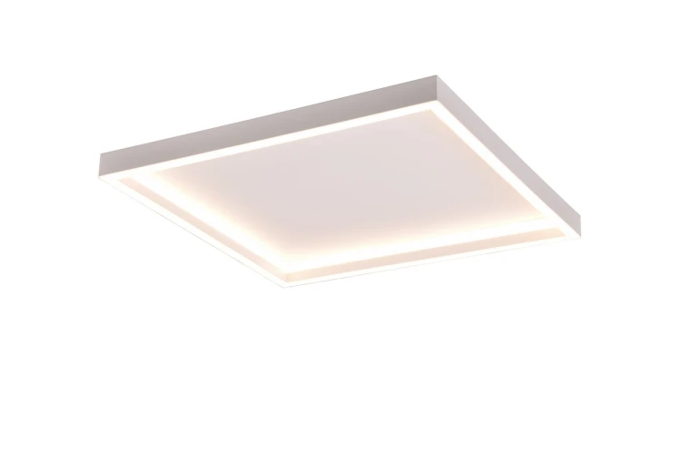 r64502931.jpg