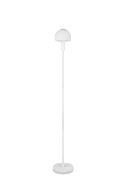 r41961031_3.jpg