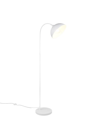 r41871031_1.jpg