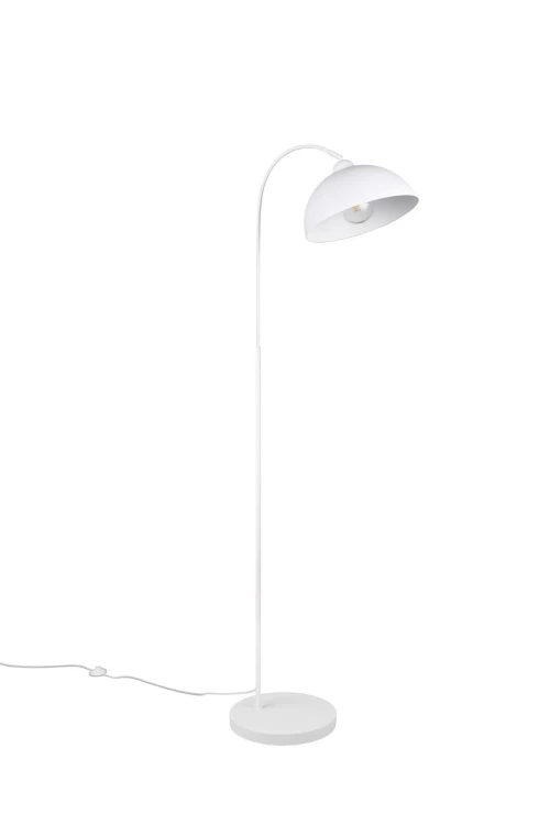 r41871031_2.jpg