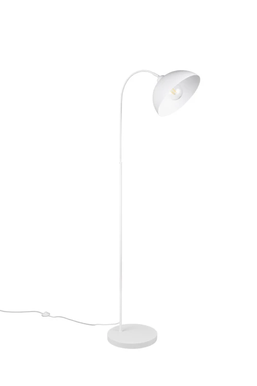 r41871031_3.jpg