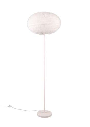 r41581001.jpg