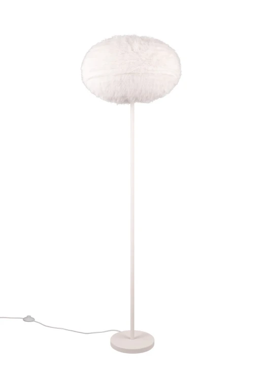 r41581001.jpg