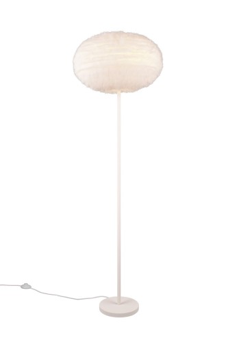 R41581001_1.jpg