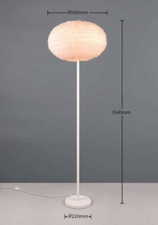 R41581001_d.jpg
