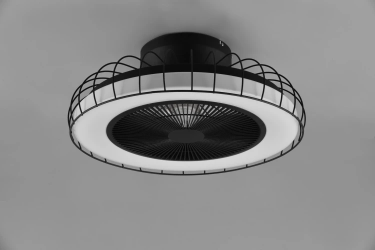 R64122132_4.jpg