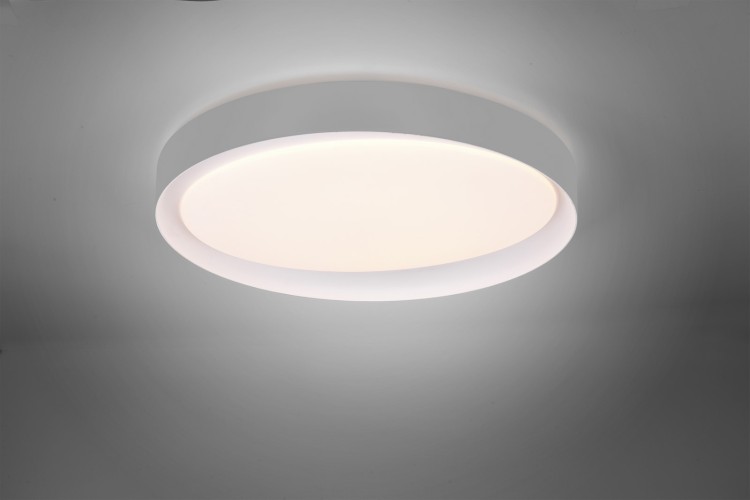 R62712411_1.jpg